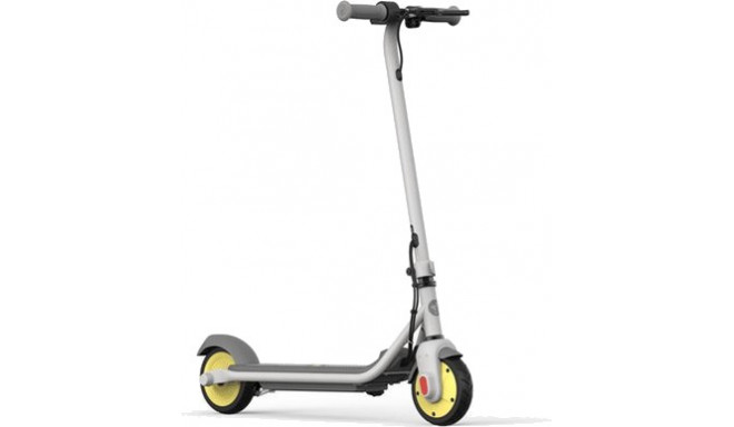 Segway Ninebot eKickscooter ZING C8, grey