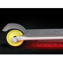 Segway Ninebot eKickscooter ZING C10, grey