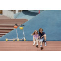 Segway Ninebot eKickscooter ZING C10, grey