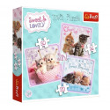 Puzzle 3w1 Sweet&Lovely Słodkie kotki