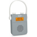 TechniSat Digitradio 30 Portable Digital Grey