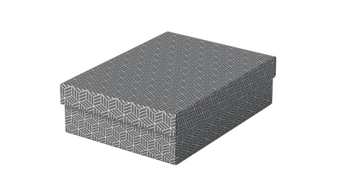 Hoiukast kaanega, kokkupandav, hall, 3 tk komplekt, 265 x 100 x 360 mm, Esselte Home Storage Box Low