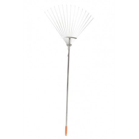 Murureha Hecht R4