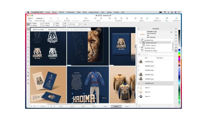 Corel CorelDRAW Graphics Suite 2021 (POLSKI/ENG)