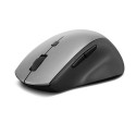 Lenovo 4Y50V81591 mouse Right-hand RF Wireless Optical 2400 DPI