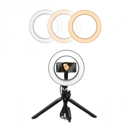 LED Ring Dimmable Table Lamp 12V EOL
