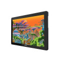 HUION Kamvas 22 Plus graphic tablet Black 476.64 x 268.11 mm USB