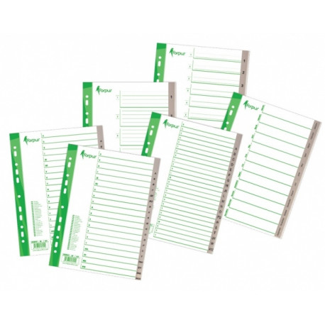 Divider Forpus Maxi, 245x297mm, numbers 1-12, plastic