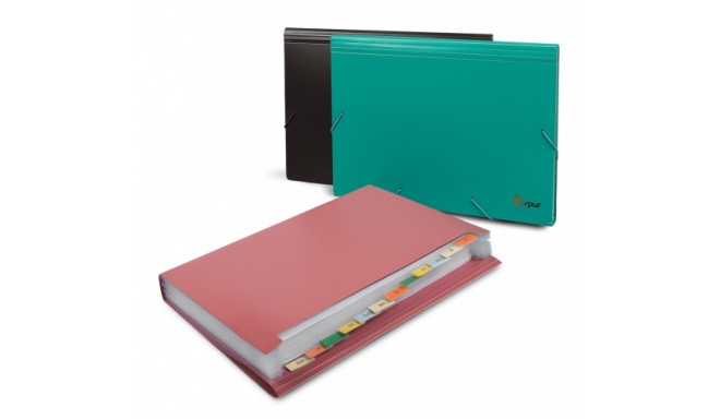 File folder with rubbers Forpus, A4, plastic, red, 12 compartments