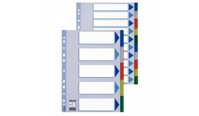 Divider Esselte, A4, 1-10 colors, plastic