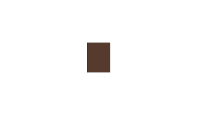 BOURJOIS Paris Brow Reveal Précision (1ml) (003 Medium Brown)