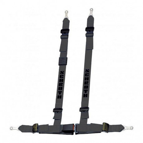 4 точечная подвеска SCHROTH RACING RALLYE CRUZ Чёрный Второй пилот