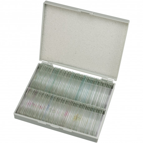 Prepared Slides 100 pcs. Box BRESSER