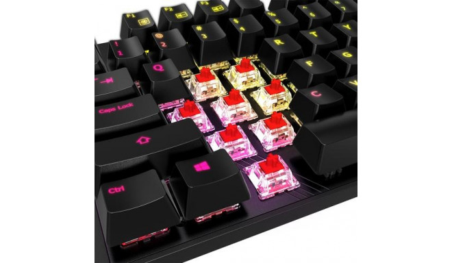 Gigabyte AORUS K1 keyboard USB QWERTY English Black