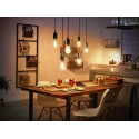 Philips 1-pack ST72 E27 Filament Edison