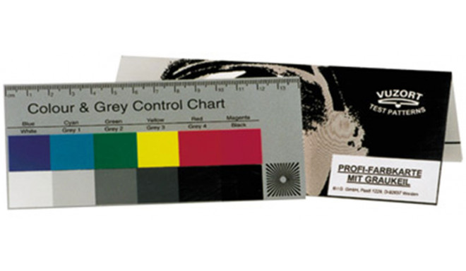 BIG color and gray card (486016)