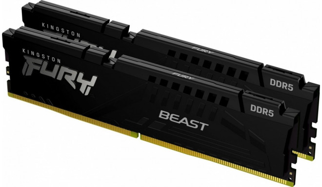 DDR5 Fury Beast Black 64GB(232GB)/5600 CL40