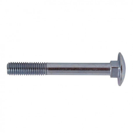 SCREW DIN603 M6X80 (100)