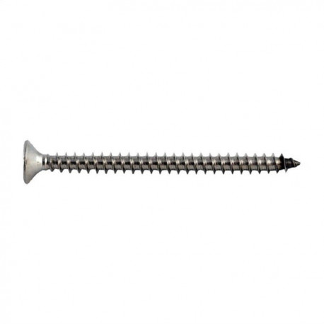 SCREWNAIL (A2 3X35 MM) 20VNT