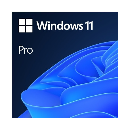 Operatings system Microsoft Windows 11 Pro 64-Bit DVD OEM English International (EN)