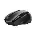 Trust GXT 131 Ranoo mouse Right-hand RF Wireless Optical 4800 DPI