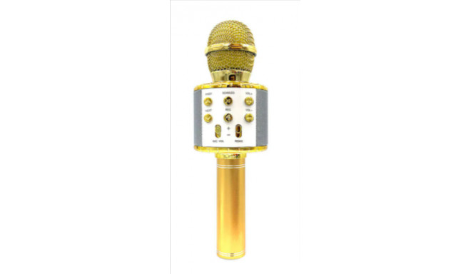 Goodbuy karaoke mikrofons ar iebūvētu Bluetooth skaļruni | 3W | aux | balss modulators | USB | Micro