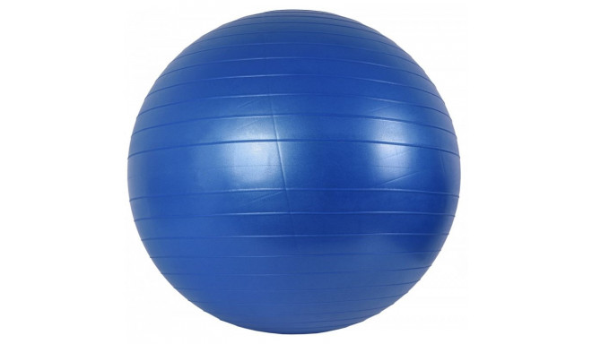 65 cm exercise ball + pump