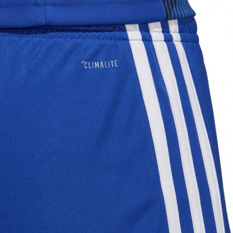 Adidas Tastigo 19 Shorts M DP3682 shorts (S)