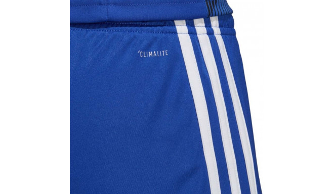 Adidas Tastigo 19 Shorts M DP3682 shorts (S)