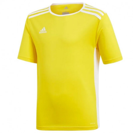 Adidas Entrada 18 Jsyy Jr CF1039 T-shirt (176 cm)