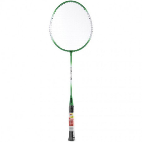 SMJ Teloon TL100 Badminton Racket