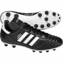 Adidas Copa Mundial FG 015110 football shoes (40)