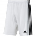 Adidas Squadra 21 Short M GN5773 (XS)