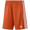 Adidas Squadra 21 Short M GN8084 (XL)