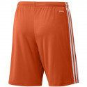 Adidas Squadra 21 Short M GN8084 (XL)