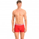 Puma Placed Logo Boxer 2P M 906519 07 (S)