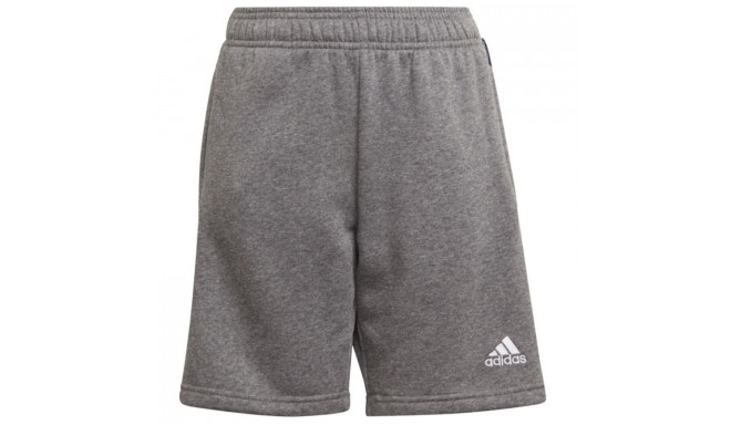 Adidas Tiro 21 Sweat Short Jr GP8806 (116 cm)