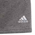 Adidas Tiro 21 Sweat Short Jr GP8806 (116 cm)