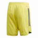 Adidas Condivo 20 M FI4578 shorts (XXL (193cm))