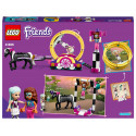 41686 LEGO® Friends Maagiline akrobaatika