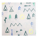 Napkins TeePee