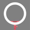 Godox LR150 LED Ring Light Pink