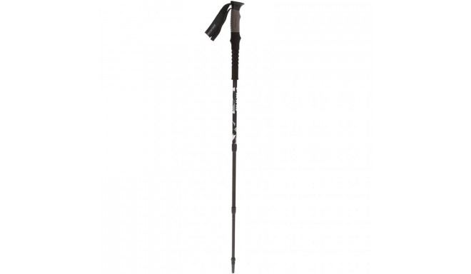 Trekking poles Viking Nelio Pro Trekking 610-22-2960-09-UNI