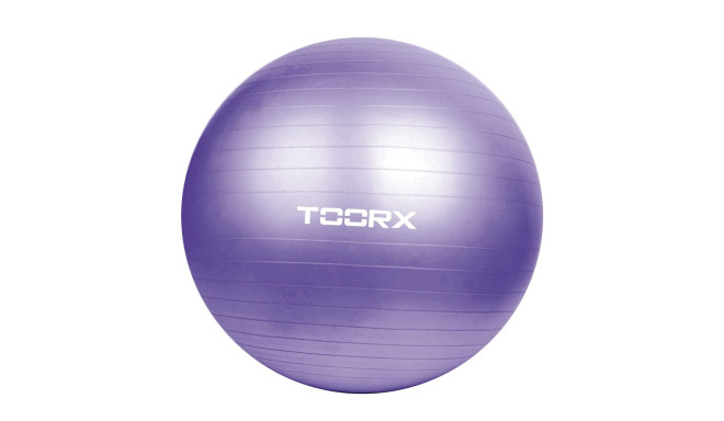 Toorx Гимнастический мяч AHF-013 D75cm su pompa