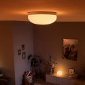 Philips Hue White and colour ambience Flourish ceiling light