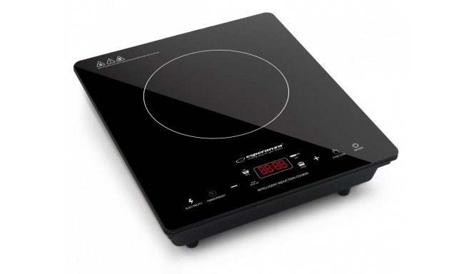 INDUCTION COOKER VESUVIUS EKH009