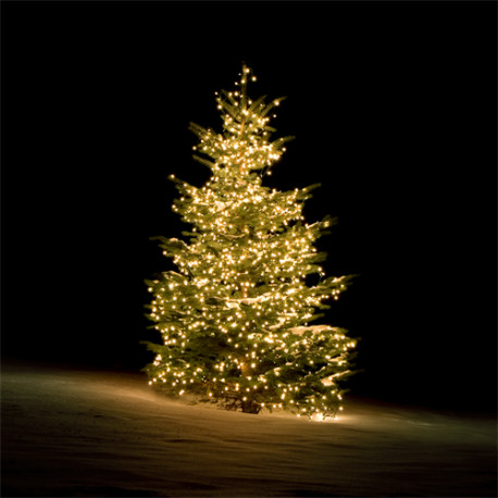 WiFi Tree light, 2m, 10 strings, 30 led, adapter, IP44,WW / SH-LW2MT