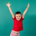 Superior Background Paper 74 Spruce 2.72 x 11m