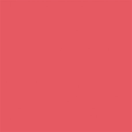 Superior Background Paper 91 Watermelon 2.72 x 11m