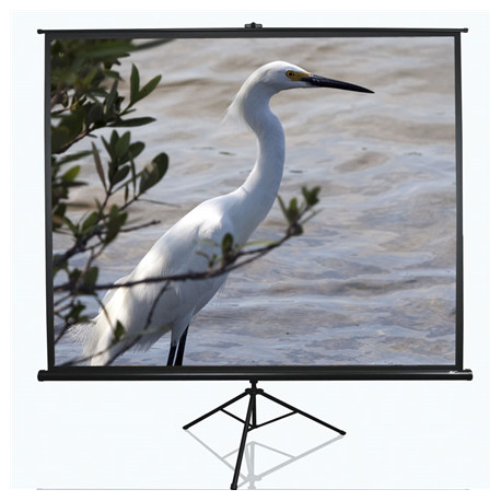 Elite Screens | Tripod Series | T120NWV1 | Diagonal 120 " | 4:3 | Viewable screen width (W) 244 cm |